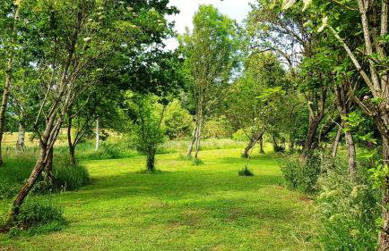 Marcassie Farm Lodges - Ash Studio - Foto 14