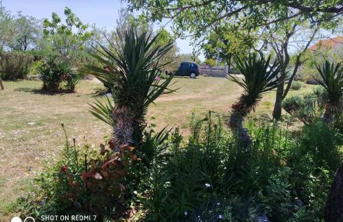 Holiday Home Ružmarin - Photo 7