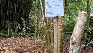 Sitio Águia Beija - Flor - Foto 2