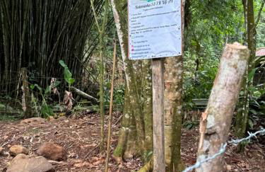 Sitio Águia Beija - Flor - Foto 2