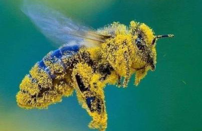 Wyciszek - mazurska agroturystyka - Foto 71