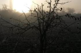 Ferienwohnung Sonnenschein Familie Hamdorf - Photo 80