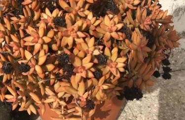 Residenza Parco Gioeni - Foto 63