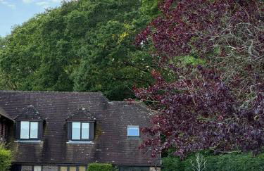 The Annex, Westerlands, Graffham - Foto 52