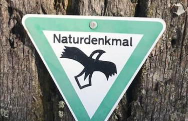 Altes Grabenhöfchen - 5 Sterne Ferienhaus - Foto 29