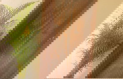 Estancia Ananda Bungalow 1 - Foto 15