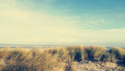 Ferienwohnung Nordsee-Feeling - Foto 2