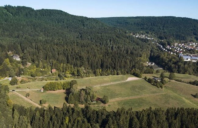 Schweizerhaus Alpirsbach - Foto 58