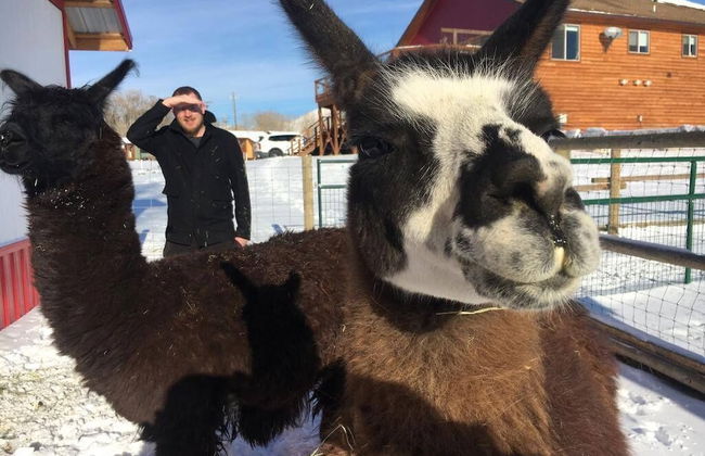 Eycat Lodging Company - Foto 41