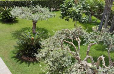 Villetta al villaggio 101 pini - Foto 10