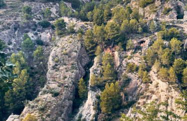 Ca Dioniso - Foto 24