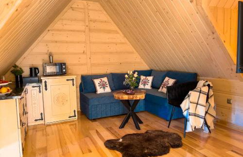 Pensjonat Dzianiszówka - Basen Jacuzzi Sauna - Foto 24