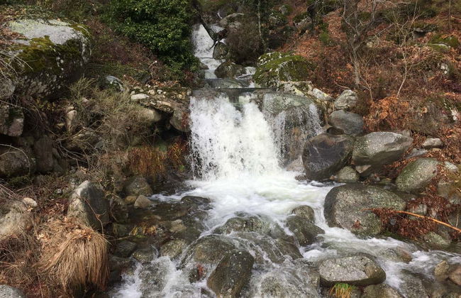 Paseo a caballo por el valle del Tiétar - Foto 5