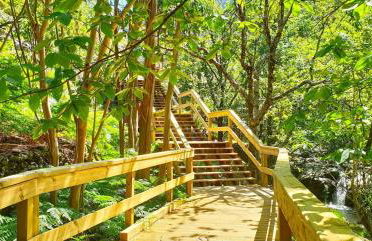 Sweet Home - Praia das Rocas - Foto 12