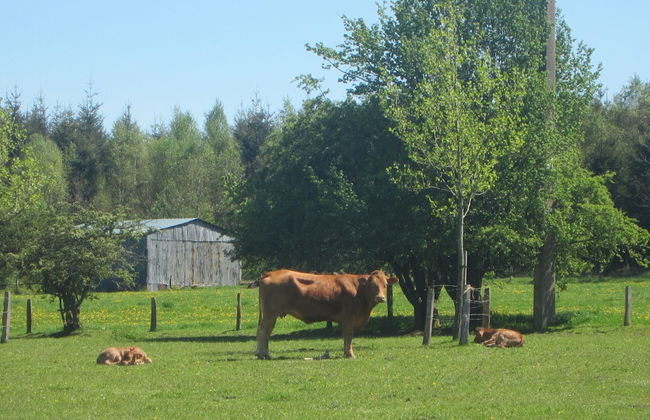 Comfortable Apartment in Burg-reuland With Shared Terrace - Foto 29