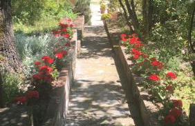 La Berchiera - Foto 6