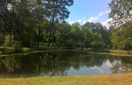 Gite meublé avec étang en lisière de forêt. - Photo 6