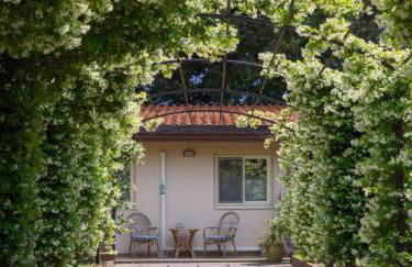 Il Gelsomineto dell'Etna - Foto 12