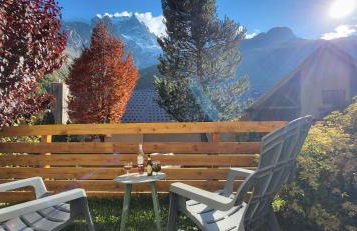 Chez Philippe - Appartements et Chalets - Panoramic Village vue Glaciers - Photo 100