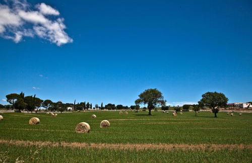LA TERRAZZA DI PUGLIA - Foto 46