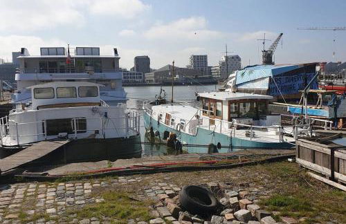 Grand appartement 2 chambres avec terrasse - Foto 10