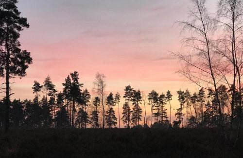 Cozy Cottage Retreat in Surrey Hills - Foto 13