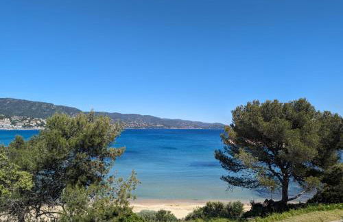 Les Iles d' Or Appartement - Foto 28