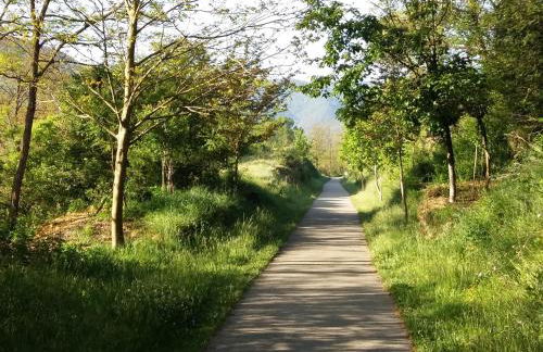 La Batllia - Foto 38