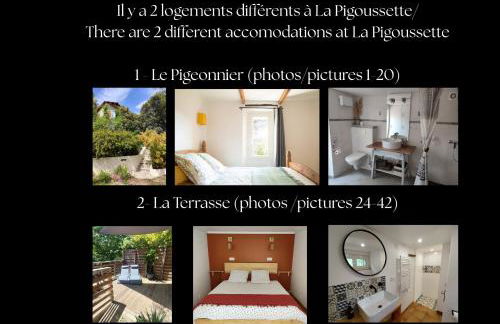 La Pigoussette - Photo 5