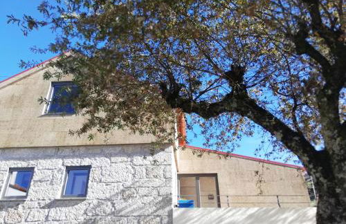 Sambuc'asa - Serra da Estrela - Foto 37