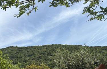 Island home Green Escape Cres - Foto 28