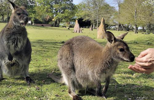 Les logis du forgeron, Gites de groupe entre Loire & vignes - Foto 52