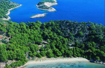 Apartmani Popović - Foto 49