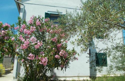 Rustic Holiday Home Miketa - Foto 52