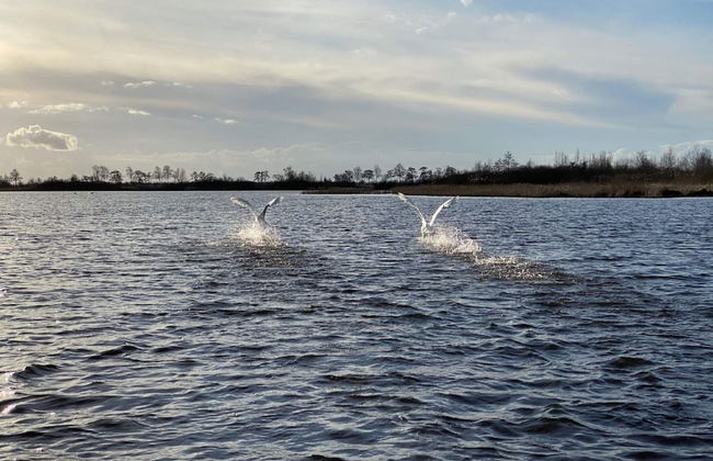 Cozy Holiday Home With Terrace - Photo 32