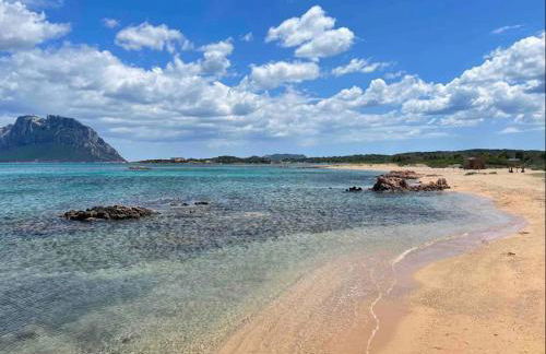 Appartamento in Villetta a 800 mt dalla spiaggia - Foto 15