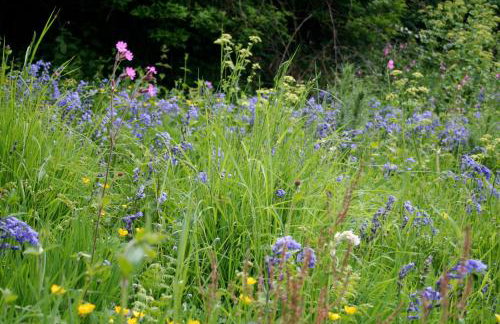 The Cottage Abbotsbury - Foto 29
