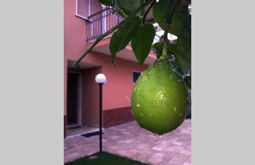 Casa del Sole - Foto 16