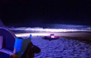 LEMONELIA, one big,4-5 people and one small apartment ,2-3 people - Foto 20