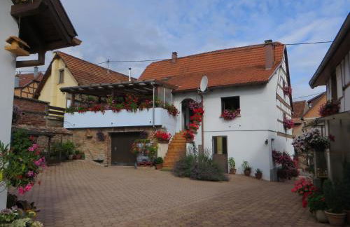 Location Alice - Photo 14