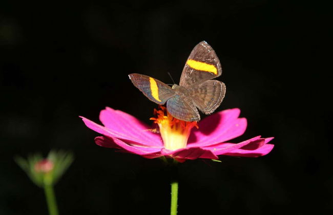 Entreaguas Natural Reserve Day Trip - Photo 6