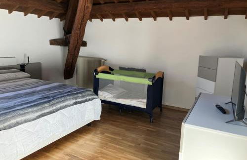 Penthouse at the Monument - Photo 29