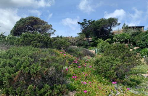 Giulianahouse - Foto 36