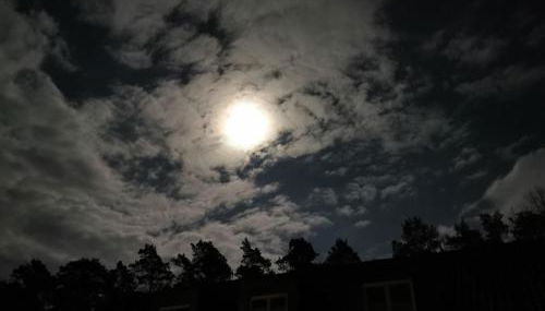 Villa Duck-Dich-Südheide - Photo 5