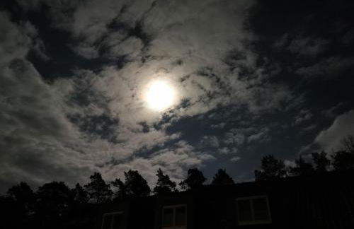 Villa Duck-Dich-Südheide - Photo 5