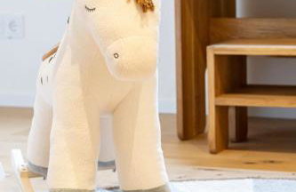 Ferienhaus Gersmühle - Foto 18