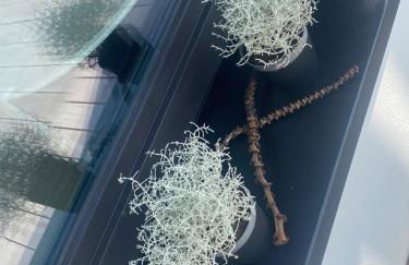 Lifestyle Cube House Appartment 3 - Foto 46