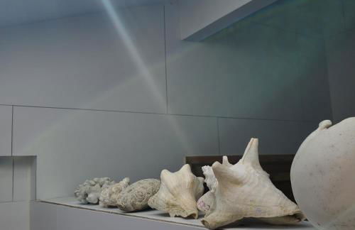 Jolie maison en bois climatisée Proche Lac&Océan - Foto 46