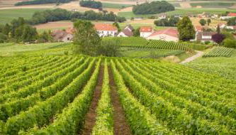 L'Échappée Belle des Riceys - 6 pers - Foto 3