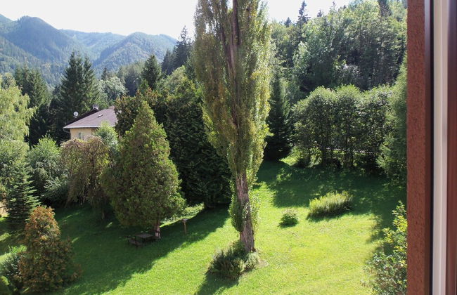 Villa Wellspacher - Renovated 19th Century Villa - Foto 33